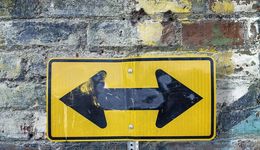 NPE们“最后的倔强”