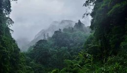 半年盘点：这是一份文旅人恢复信心的答卷