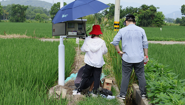 这个暑假，到田间地头去！00后大学生俯身田间做学问