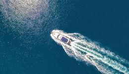 出口额占比近半，白酒新增量在海外？｜潜望国际化①