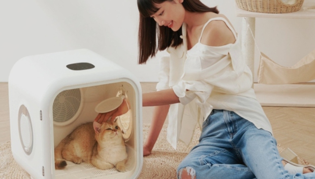 时尚,消费,品牌,融资,家电