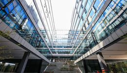 淘天要恢复狼性