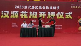 2023年“汉源花椒”开秤，20.4万亩花椒进入收获季