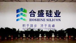 光伏野心，会不会翻掉合盛硅业的大船？