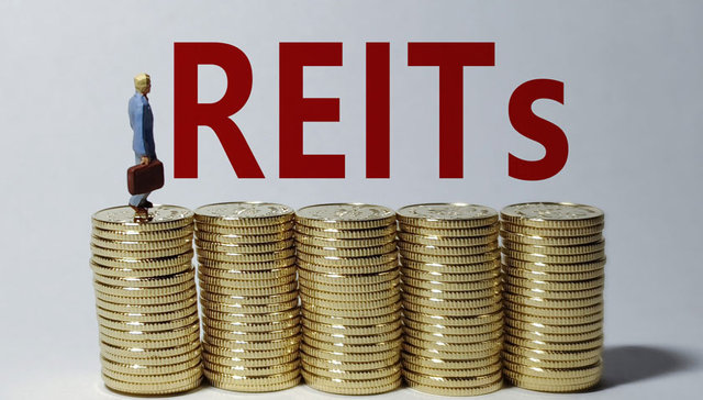 上交所召开产业园和仓储物流REITs座谈会 推进REITs市场生态建设