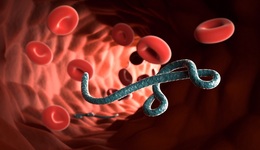 病毒奥秘：致命威胁的探索之旅