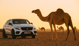 中国新能源车企，加速开向中东