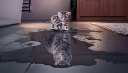 籍籍无名，实缴为零，这家小公司为何能拿出百亿砸向固态电池