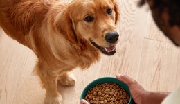 TOPBRAND | Jinx獲融資；菲仕蘭首次推出人造肉；樂樂茶聯(lián)名Soul；Salomon打造首個中國限定系列