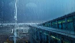 陷入免税店扣点传闻，两大机场跌停