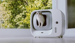 TOPBRAND | Yerbaé获融资；康师傅营收净利创新高；东鹏入局无糖茶赛道；Happy Socks任命首席执行官