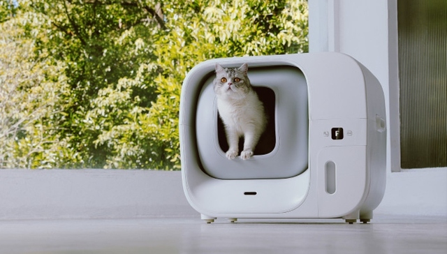 新消费,消费趋势,投融资,东鹏推出无糖茶饮