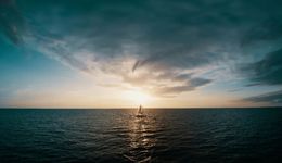 去海外淘金，哪些公司赢麻了？