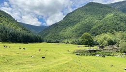 四川天价锂矿，村民无人“挖石致富”