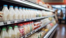 風(fēng)味牛奶，在貨架上積灰