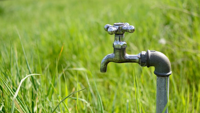 四川秋粮收获全面启动