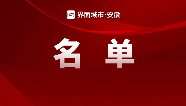 中国民营企业500强发布！安徽这些企业上榜