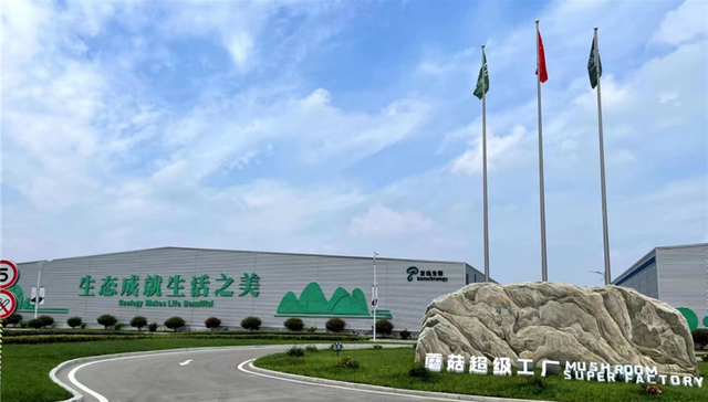 一顶小蘑菇，撑起致富伞