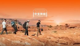 上市一年，华宝新能“失速”