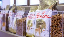 瑪氏皇家中國區(qū)總經(jīng)理：中國屬于全球兩大戰(zhàn)略市場，將加速引進新品