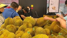 盒马开出“黑标店”：宣布盈利后，冲击IPO