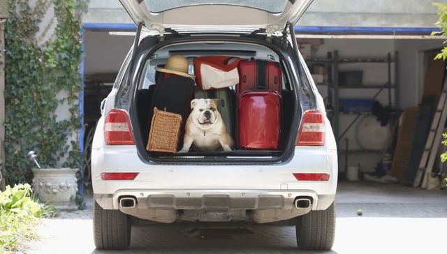 国庆长假,亲情,特产