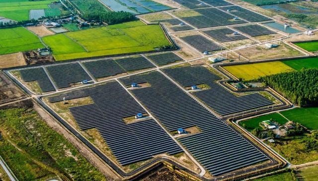 光伏,四环生物,江苏阳光,陆克平,A股