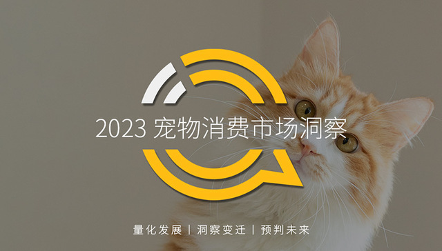 宠物经济,消费,猫咪,品种狗,创业