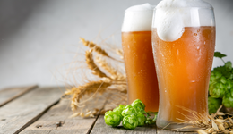 青岛啤酒们vs东鹏饮料们，消费复苏谁更有投资弹性？