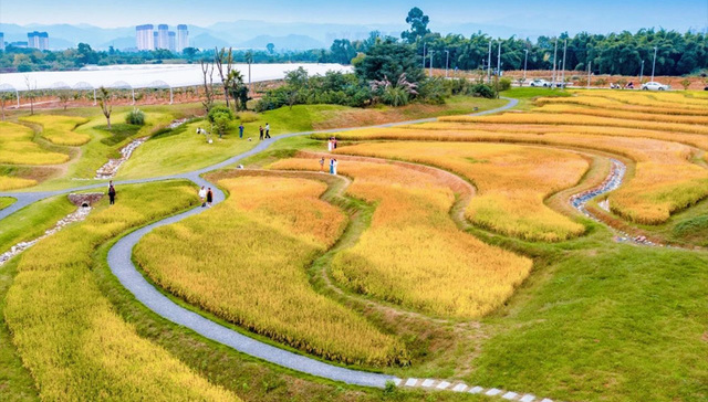 到锦绣天府走一走、看一看，感受龙泉驿城乡融合发展的万千气象