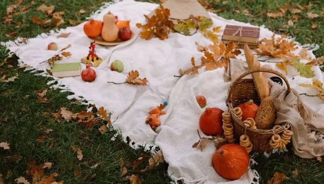 读书,文化,女性,职场,更年期