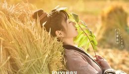 国剧“种田”，网文过年