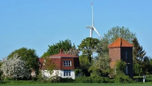 文化,艺术,女性,职场,创业