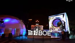 京东方的腾飞与夏普的落败