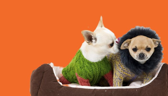 安踏,李宁,融资,LVMH,