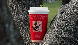 奈雪、香飄飄同時推“大紅袍奶茶”，冬季爆款出現(xiàn)？