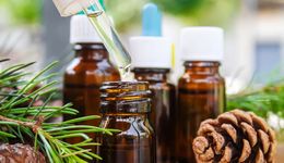 “完整版安評(píng)”來襲，原料商大洗牌