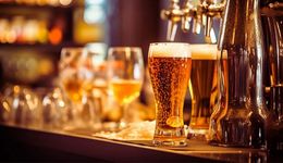 每月平均新增167家，这个赛道越来越热闹