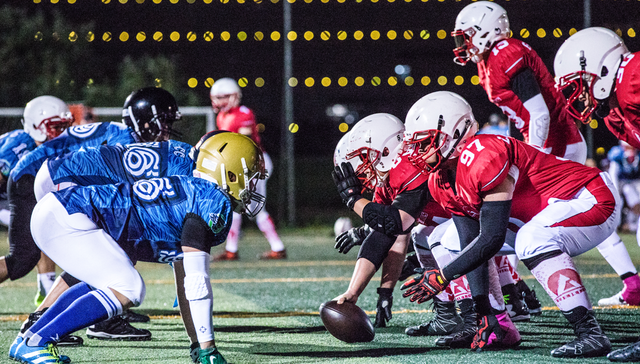 白酒,中国市场,消费趋势,酱酒,浓香型白酒,百元价格带