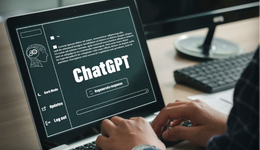 套壳的大模型，为何还活着？