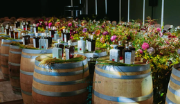 茅台拿捏年轻人的招儿，古越龙山还没学到