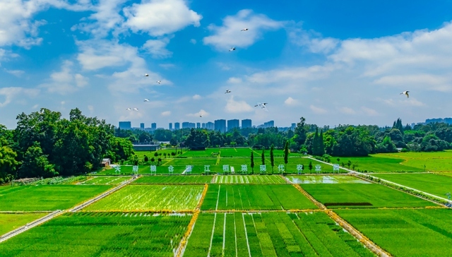 擦亮“金”字招牌，成都温江现代都市农业的“出仓”之路