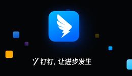 釘釘商業(yè)化BUG正在破解