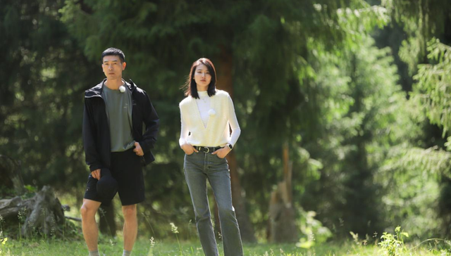 情感,婚恋,综艺,再见爱人,纸片人