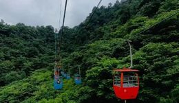 65家国有文旅集团今年过得怎么样？