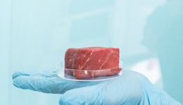 TOPBRAND | 味美優(yōu)品獲融資；麥當(dāng)勞合作谷歌云；Tims聯(lián)名海綿寶寶；BALENCIAGA推出高級(jí)珠寶