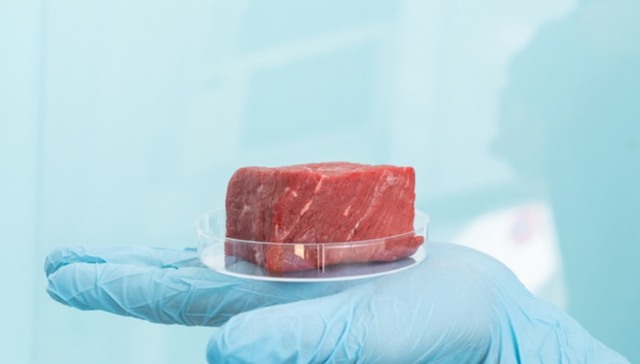 消费,时尚,品牌,麦当劳,海绵宝宝