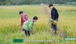 这些2023话题综艺踩中哪些情绪？