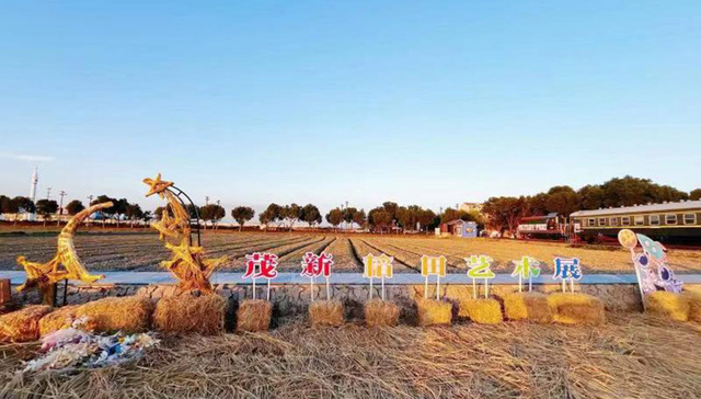 废弃稻草变艺术景观 大学生帮村里办起了“稻田艺术节”