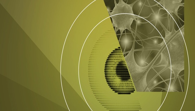 神经网络,人工智能,仿生学,生物科学,